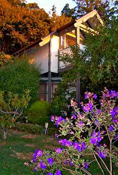 Annie Roe's Luxury Bed & Breakfast - Accommodation Broome 4