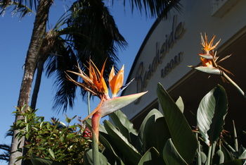 Beachside Resort - Kawana Waters - Accommodation Broome 4