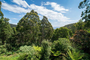 A Camelot Tower & Penthouse - Accommodation Broome 46