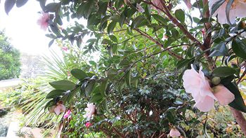 Waldorf Hornsby Residential Apartments - Accommodation Broome 3