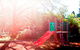 Comfort Inn Redleaf Resort - thumb 2