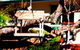 Comfort Inn Redleaf Resort - thumb 5