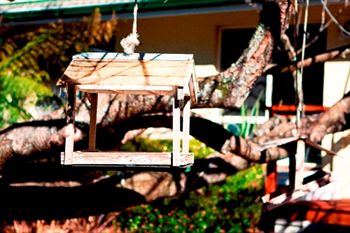 Comfort Inn Redleaf Resort - Accommodation Broome 5