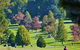 Comfort Inn Redleaf Resort - thumb 15