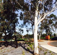 Box Hill Studios at Canterbury Gardens - Accommodation Broome