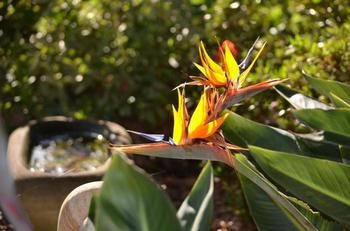 Morpeth Lodge Motel - Accommodation Broome 3