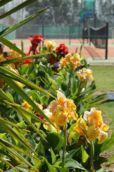 Morpeth Lodge Motel - Accommodation Broome 11