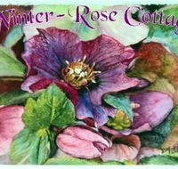 A Winter-rose Cottage BampB - Accommodation Broome