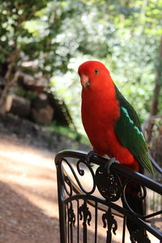 Merrow Cottages - Accommodation Broome 40
