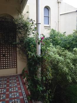 Verona Guest House - Accommodation Broome 7