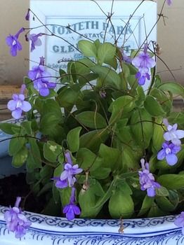 Verona Guest House - Accommodation Broome 15