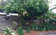 Papillon Coolum - thumb 69