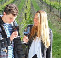 Valley Farm Vineyard Cottages - Accommodation Broome