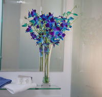 Grand Hotel Wyong - Accommodation Broome