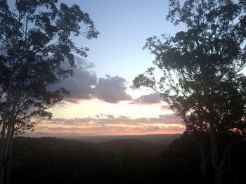 Phoenix Eumundi Bed & Breakfast - Accommodation Broome 14