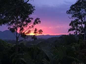 Phoenix Eumundi Bed & Breakfast - Accommodation Broome 17