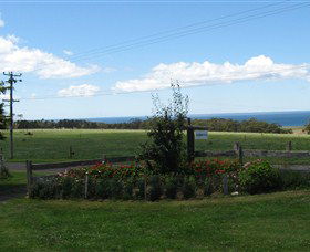 Blueberry B & B - Accommodation Broome 0
