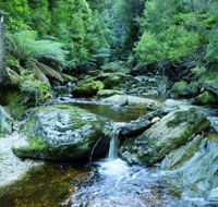 Tarkine Wilderness Experience at Corinna - Accommodation Broome