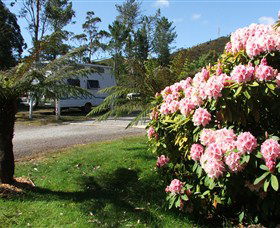 Zeehan Bush Camp  And Caravan Park - Accommodation Broome 0