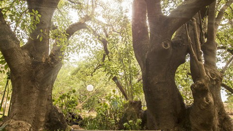 Trawool Cottages & Farmstay - Accommodation Broome 5