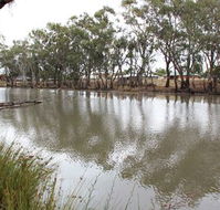 Riverbank Caravan Park - Accommodation Broome