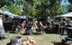 Ball Park Caravan Park - thumb 4