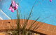 The Murray View Motel - thumb 6
