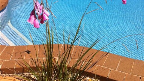 The Murray View Motel - Accommodation Broome 6