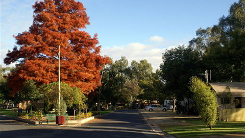 Numurkah Caravan Park - Accommodation Broome 6