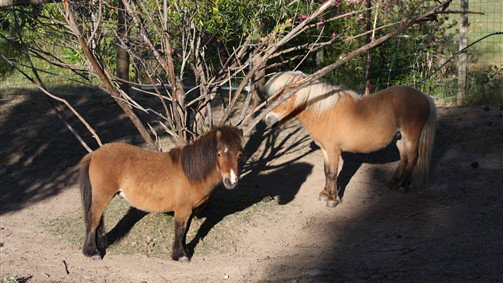 Drummond North ACT Accommodation Broome