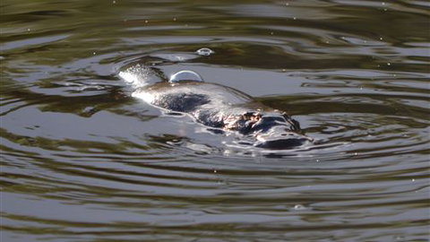 Cave Hill Creek - Accommodation Broome 4