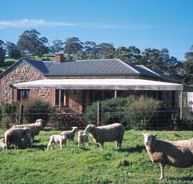 Amanda Stichbury Cottage - Accommodation Broome