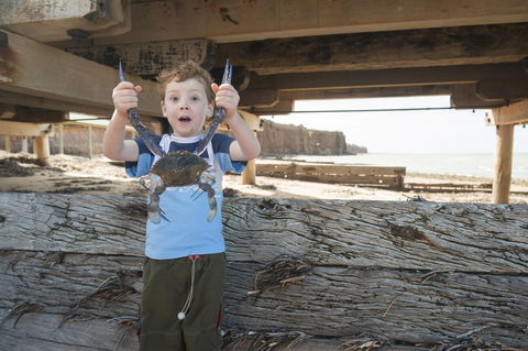 Ardrossan Caravan Park - Accommodation Broome 6