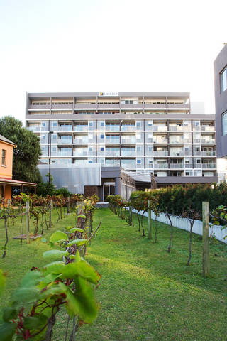 B7 Honeysuckle Apartments - Accommodation Broome 1