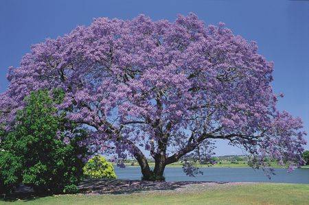 Belvoir B & B Cottages - Accommodation Broome 3