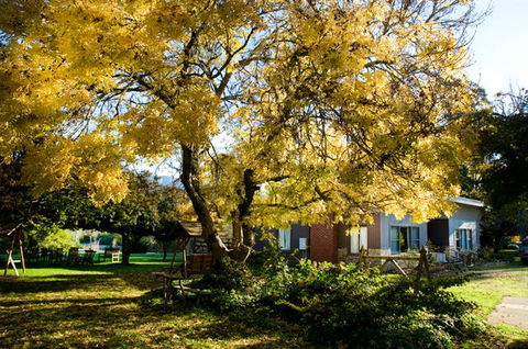 Buffalo Motel And Country Retreat - Accommodation Broome 5
