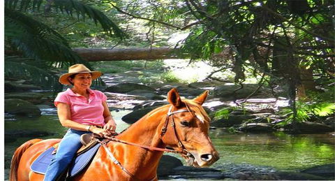 Cedar Creek Lodges At Thunderbird Park™ - Accommodation Broome 7