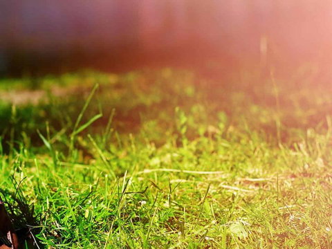 Ipswich Caravan Village - Accommodation Broome 1