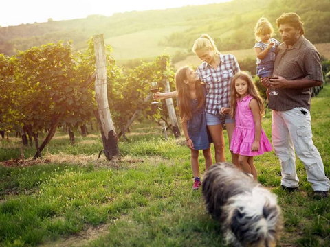 Ipswich Caravan Village - Accommodation Broome 3