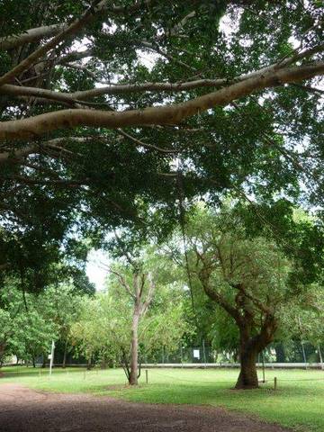 Discovery Holiday Parks - Darwin - Accommodation Broome 10