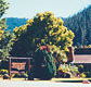 High Country Motor Inn - Accommodation Broome