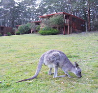 Jenolan Caves Cottages - Accommodation Broome