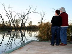 Kingston-On-Murray Caravan Park - Accommodation Broome 2