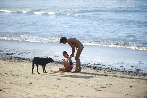 North Coast Holiday Parks Scotts Head - Accommodation Broome 2