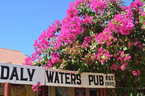 Daly Waters Historic Pub - Accommodation Broome 7