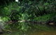 Aranyani Bison Adventure Tourist Park - thumb 3