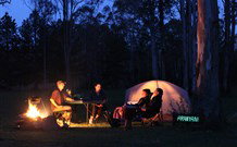 Aranyani Bison Adventure Tourist Park - Accommodation Broome 2