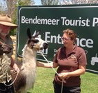Bendemeer Tourist Park - Accommodation Broome