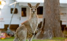 BIG4 Sunshine South West Rocks Holiday Park - South - Accommodation Broome 3