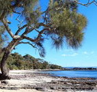 Currarong Beachside Holiday Park - Accommodation Broome